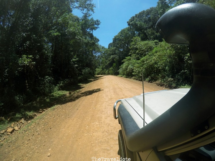 DCIM100GOPROG0030665.