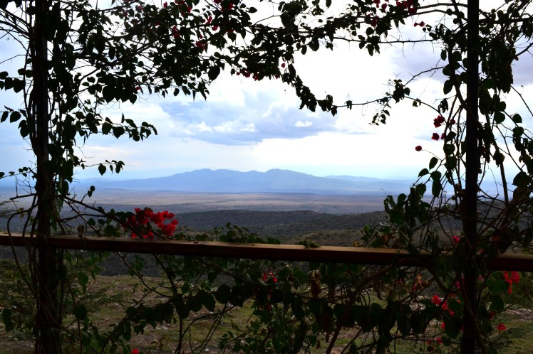 Great Rift valley View